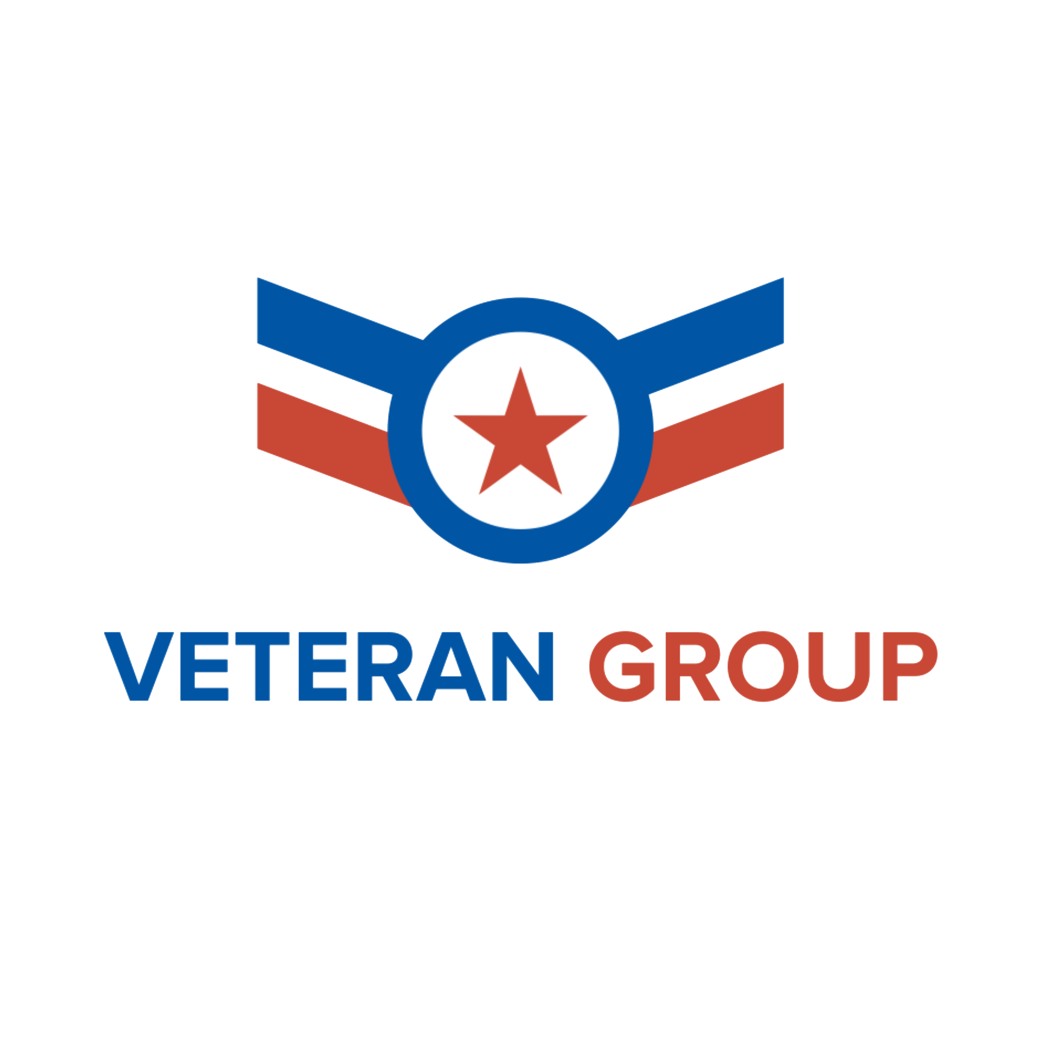 Veteran Group Sales & Analytics - Logo