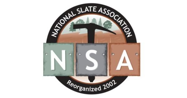 NSA Logo 600x300