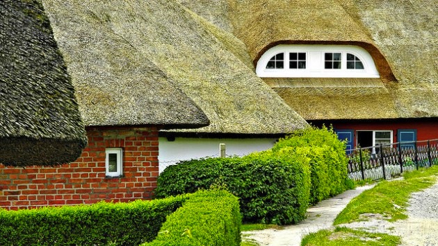 Thatched-roof-article