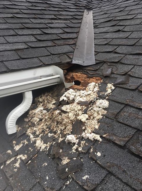 AlAnthonyRoofing_1