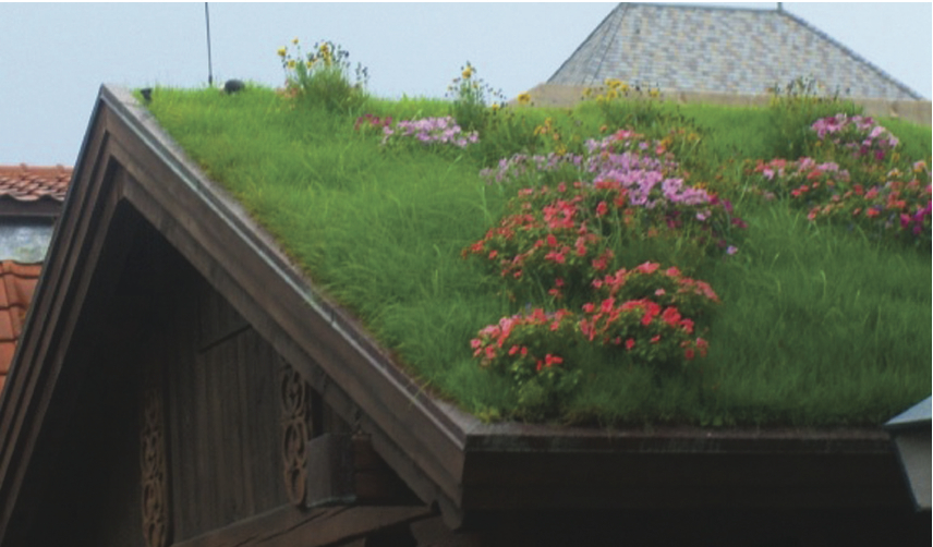 Flowering_roof