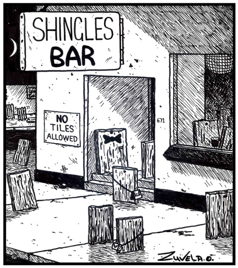 ShinglesBar