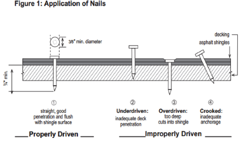 What Size Nails For Roof Sheathing Image To U