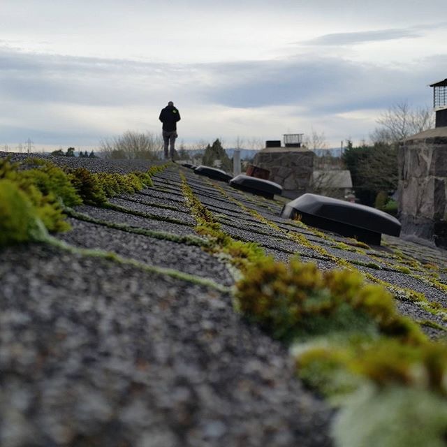 152. Estimating a roof for an apar