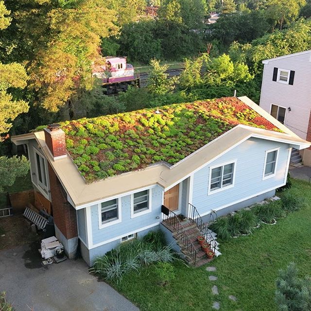 Green Roofs