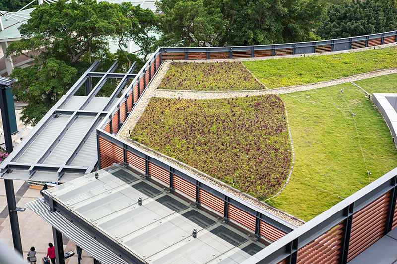 Vegetative-Roof-Systems