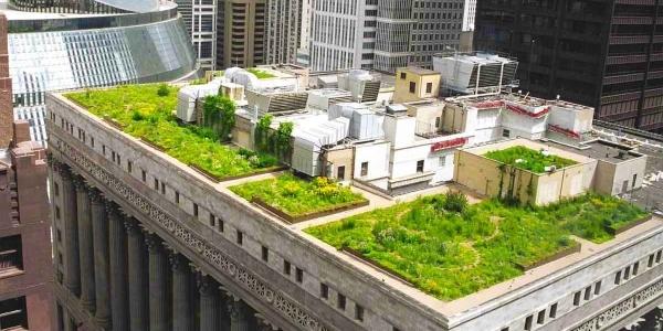 GCP Applied Technologies Green Roofs