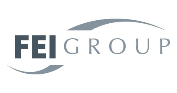 FEI Group Organizational Changes