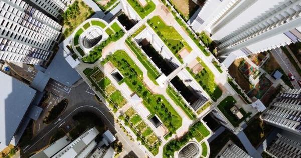 ICP Green Roofs