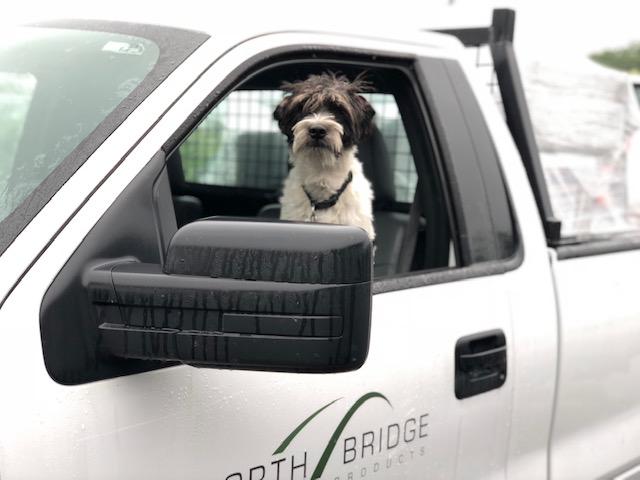 Roofing Pets