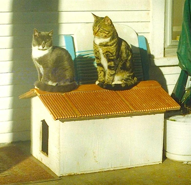 Roofing Pets