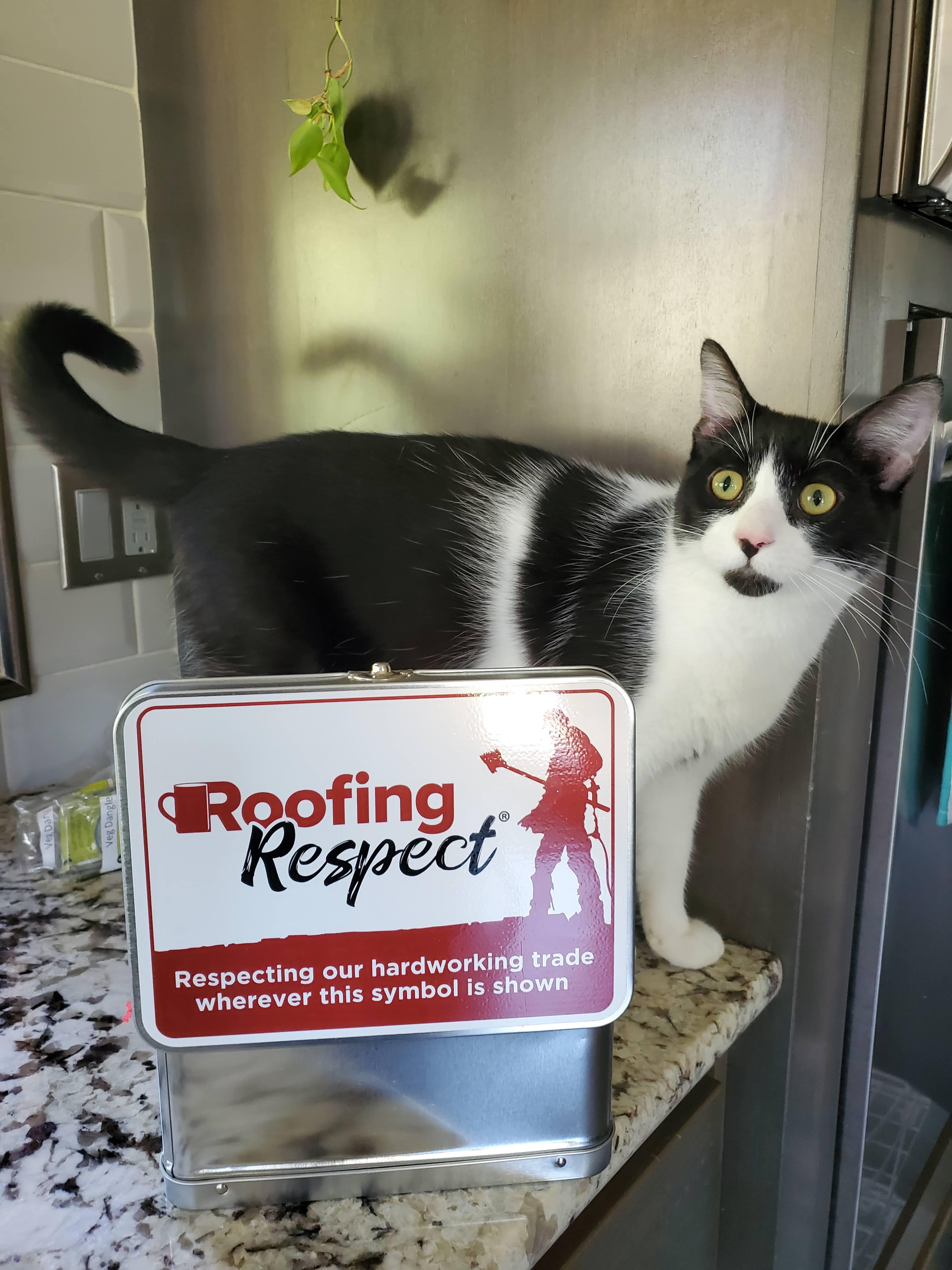 Roofing Pets