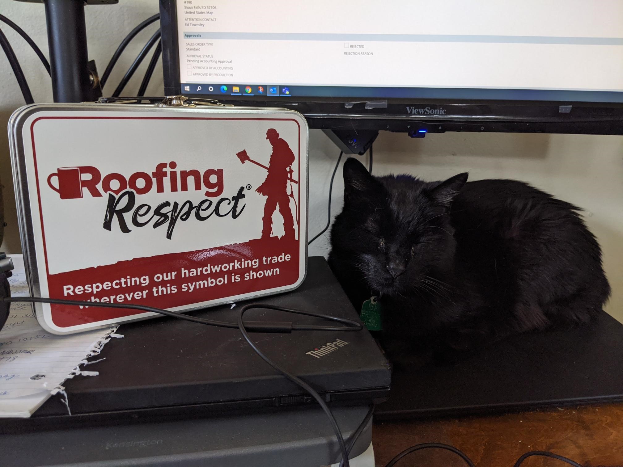 Roofing Pets
