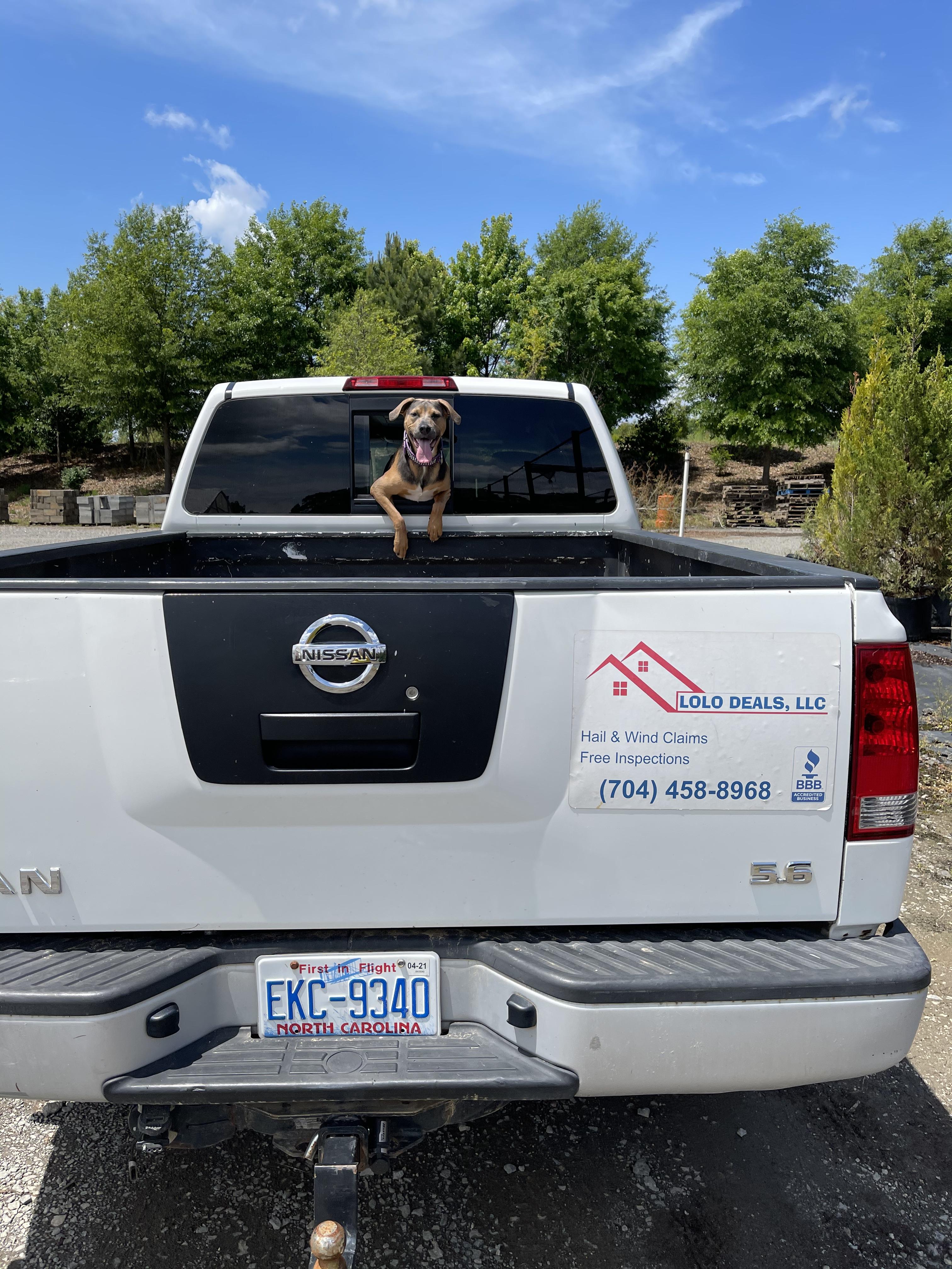 Roofing Pets