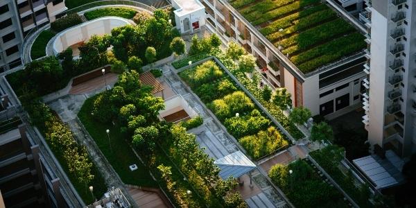 RCS Green Roofs