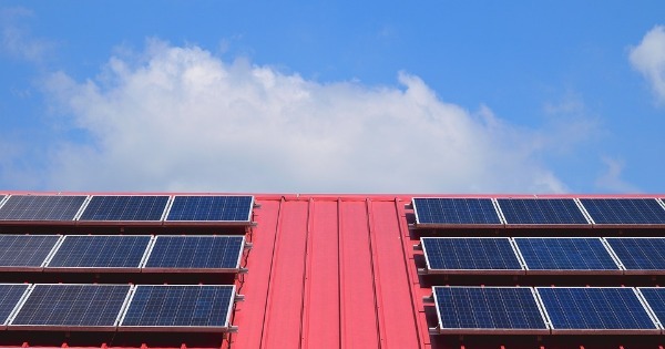 Cotney Bisolar Roofs