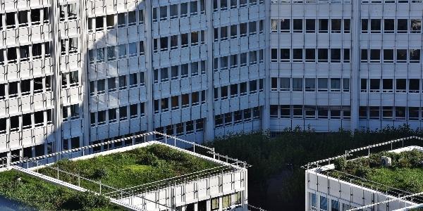 United Asphalts Green Roof Revolution