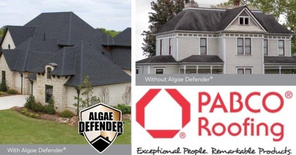 PABCO Asphalt Shingles Defend Against Algae