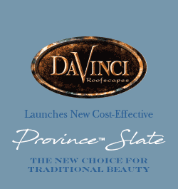 DaVinci - Sidebar Ad - New Choice for Traditional Beauty