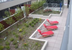 A-1  Green Roof