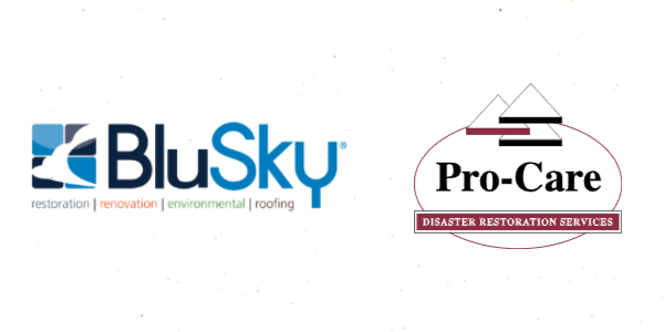 BluSky Pro Care Merger