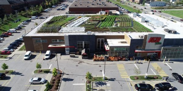 Rooftop farm revolution