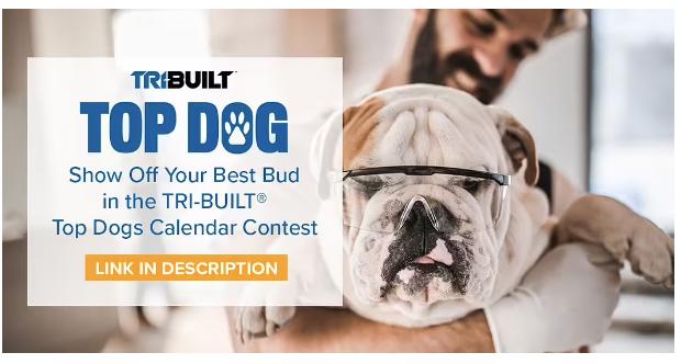 Beacon - Top Dog Contest