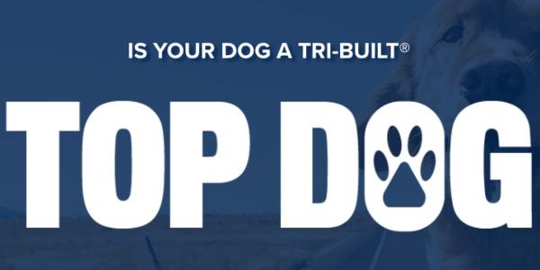 Beacon TRI-BUILT Contest Top Dog