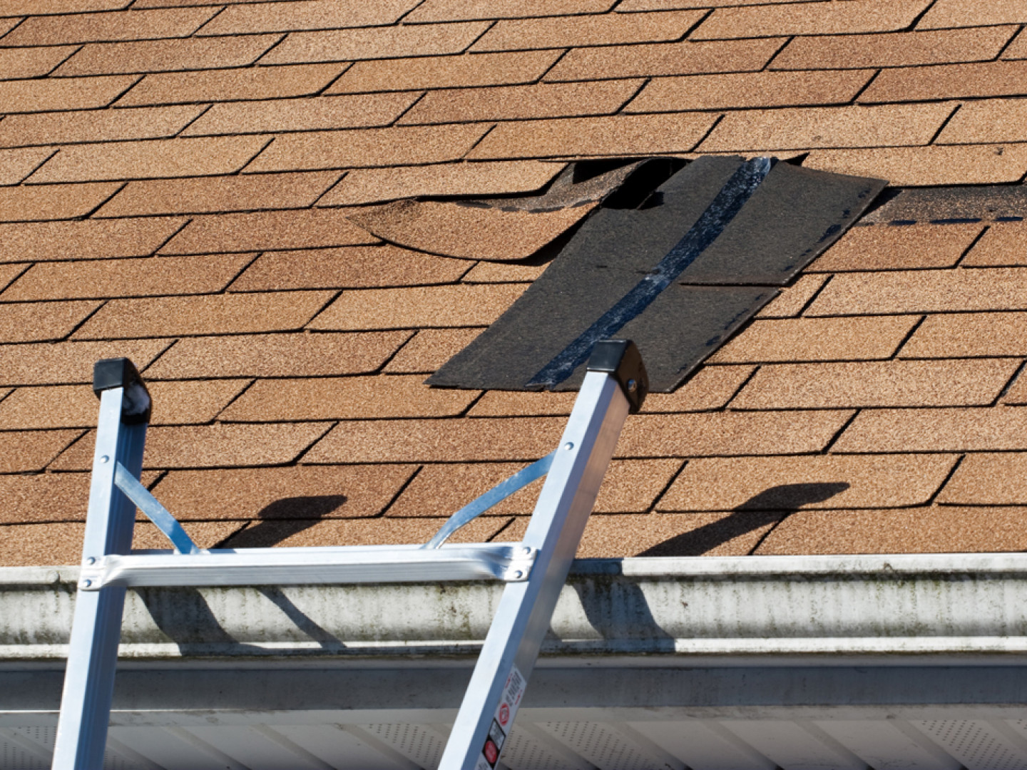 ASA Roofing Inc. - Photo Gallery