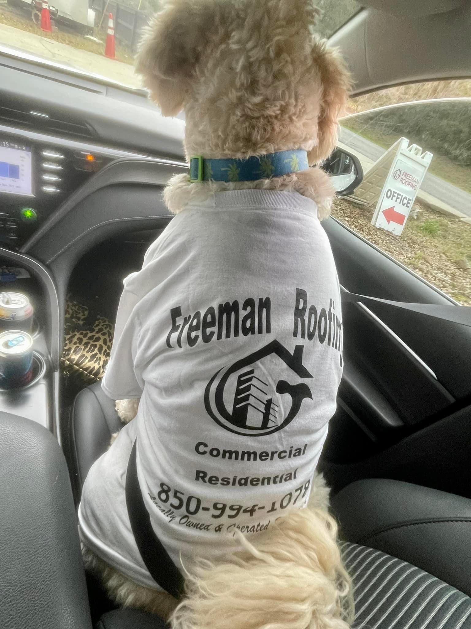 Freeman Roofing of Fort Myers, FL