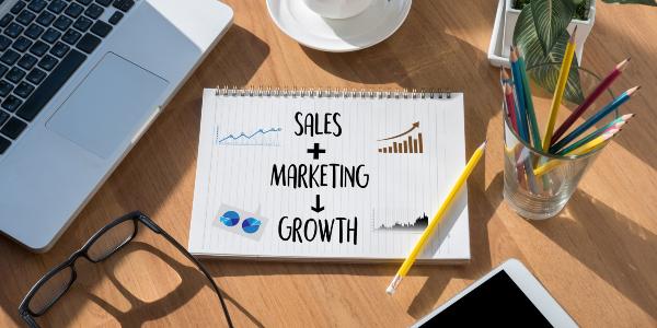 Ingage Sales Marketing Growth