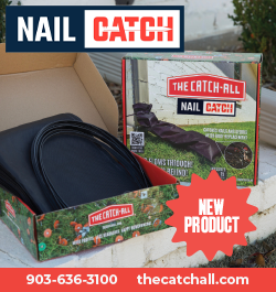 Sidebar - The Catch-All - Nail Catch