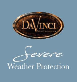 DaVinci - Sidebar Ad - Severe Weather Protection (Shake & Slate)
