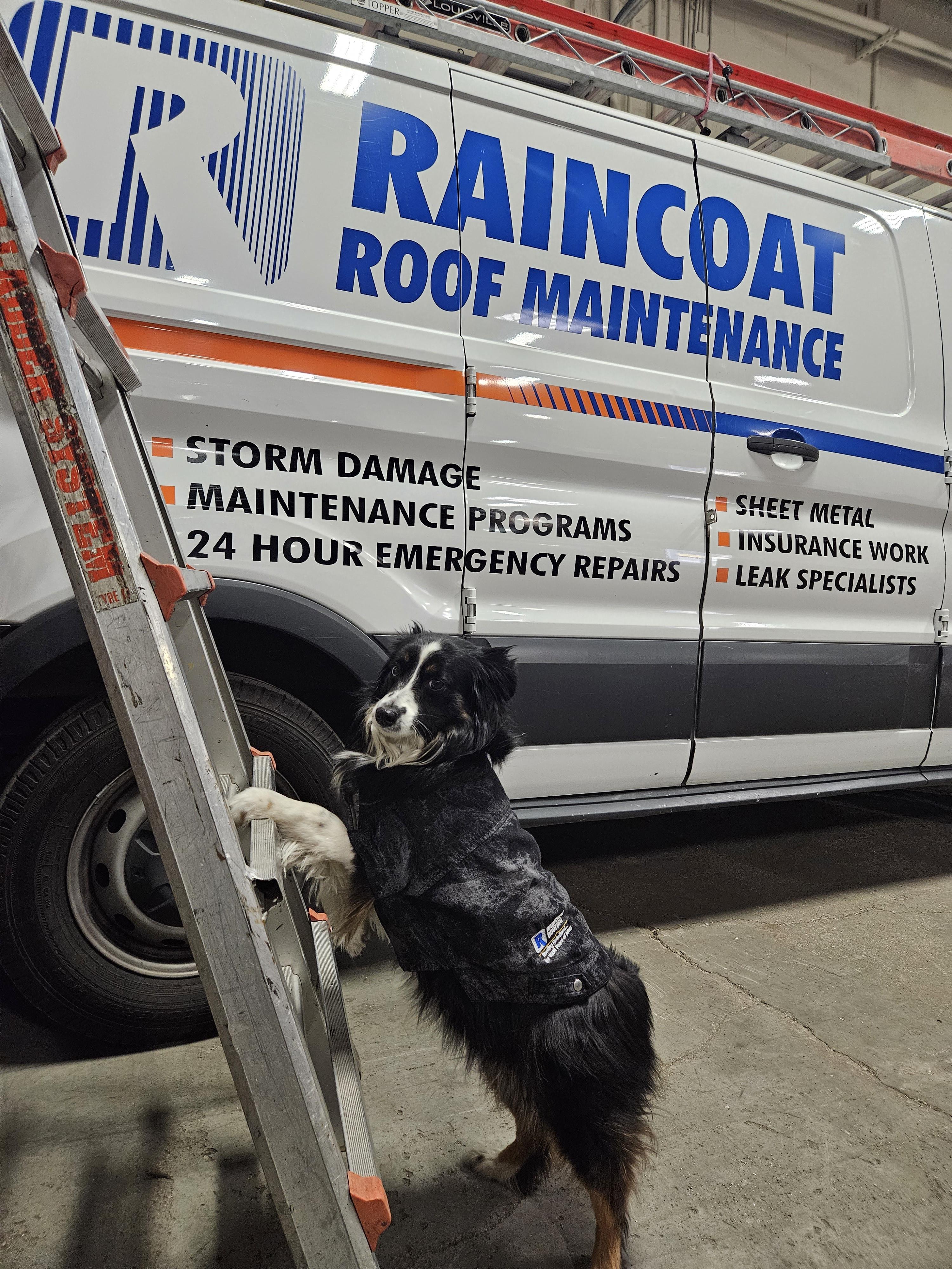 Raincoat Roofing of Broadview, Illinois