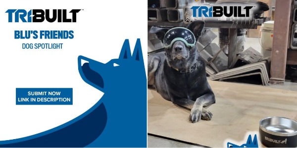 TRI-BUILT - Blu