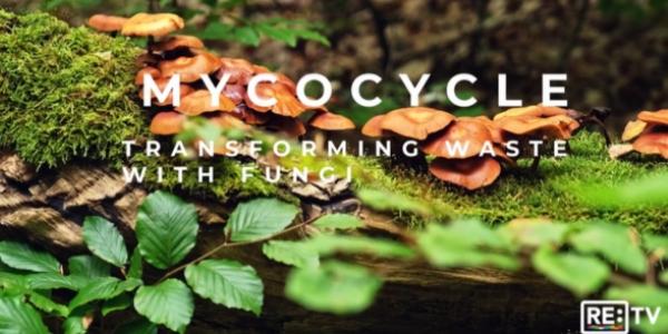 mycocycle - retv feature - innovative product - 2023