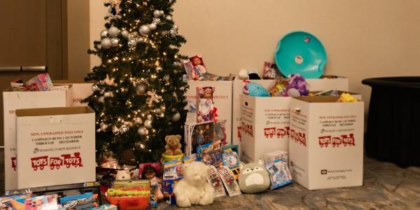 RCS Toys for tots RCAW 8.24