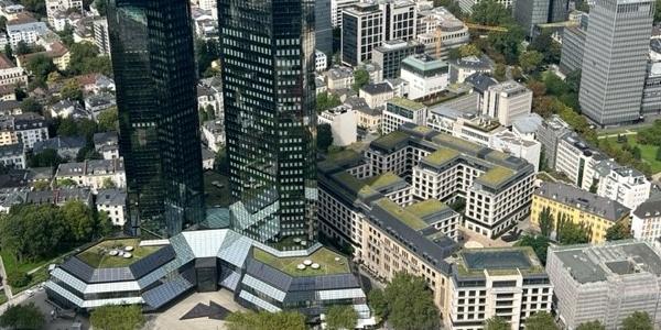 Carroll Consulting Frankfurt Green Roofs