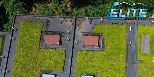 Elite Roofing New Jersey Green Roof