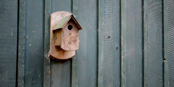 NFRC Balancing biodiversity with construction