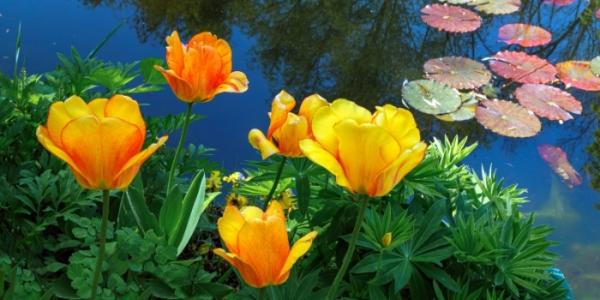Keep water features flowing this season!