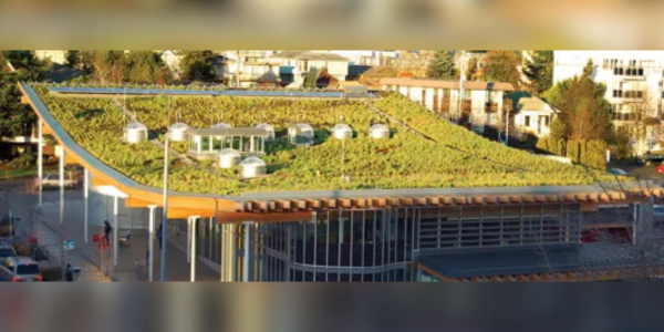 IIBEC Technical Dinner Meeting - Adding Resiliency on the Roof: Vegetated Roofs and Blue Roofs