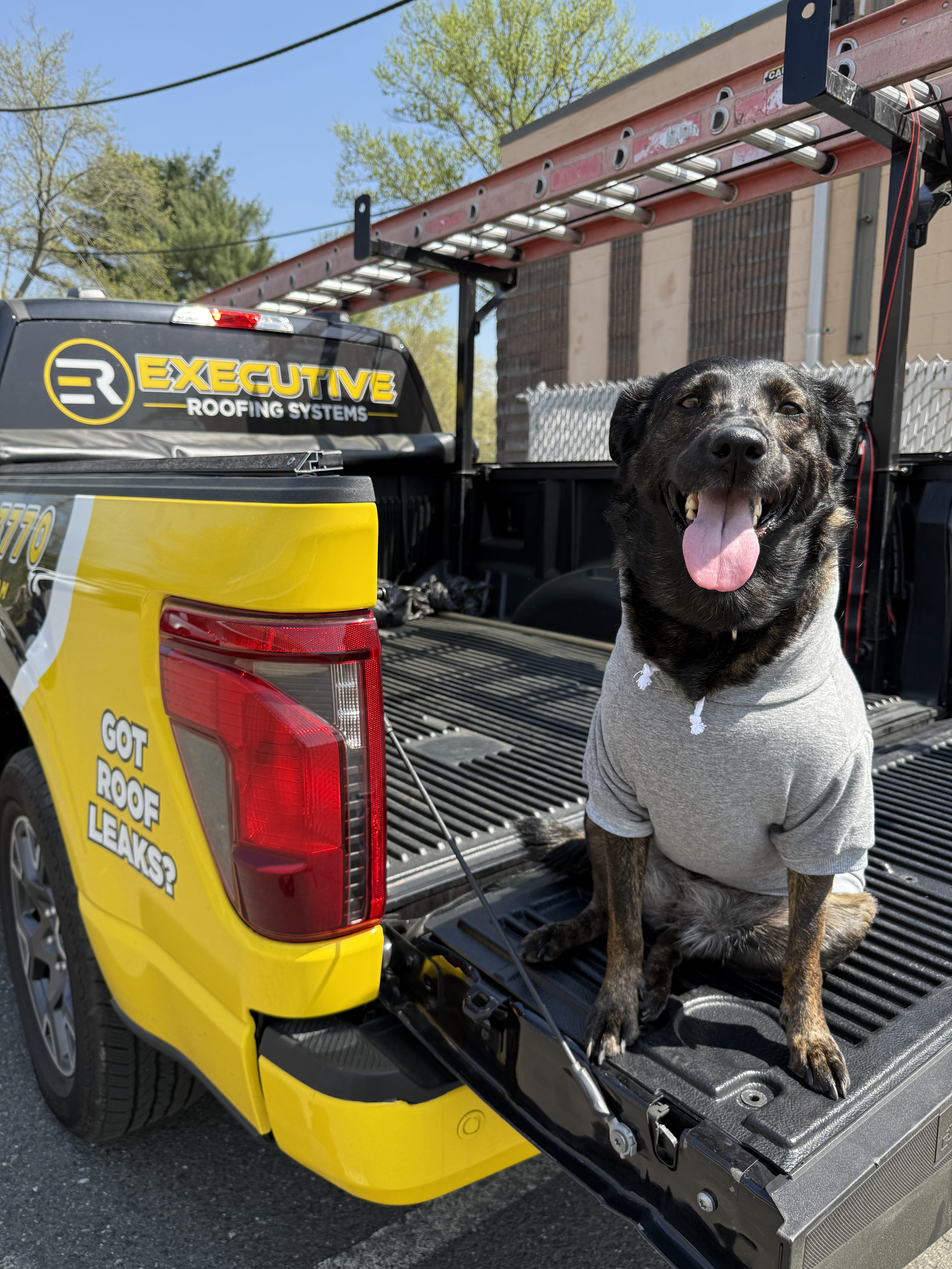 Executive Roofing Systems of Spotswoood, New Jersey