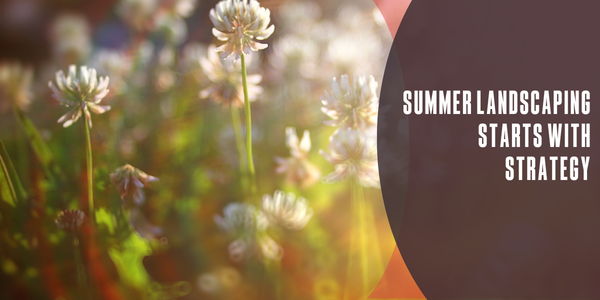 Summer landscaping starts with strategy