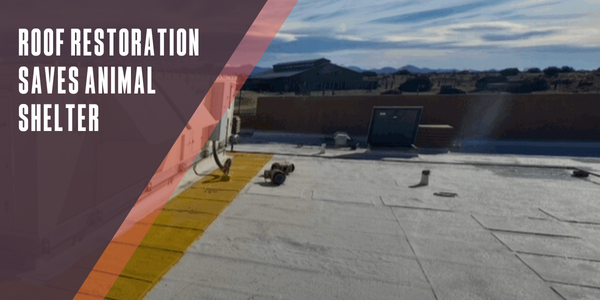 Roof restoration shelters animal shelter from costly tear off