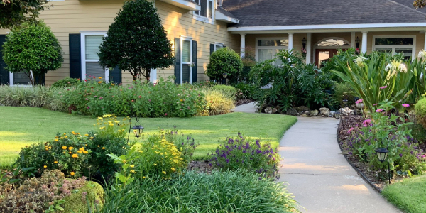 Native grasses are greener