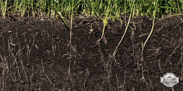The root of it all
