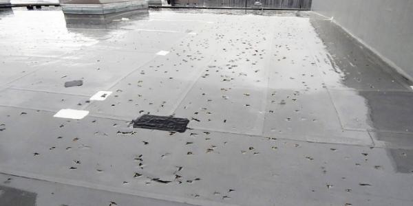Roof smarts: What to know before you build up