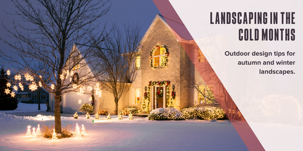 Landscaping in the cold months