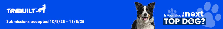 QXO - Banner Ad - TRI-BUILT Top Dog Contest 2025
